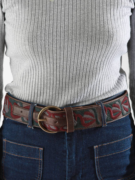 Belt Biba Brown accessoires SUM1A other view 1