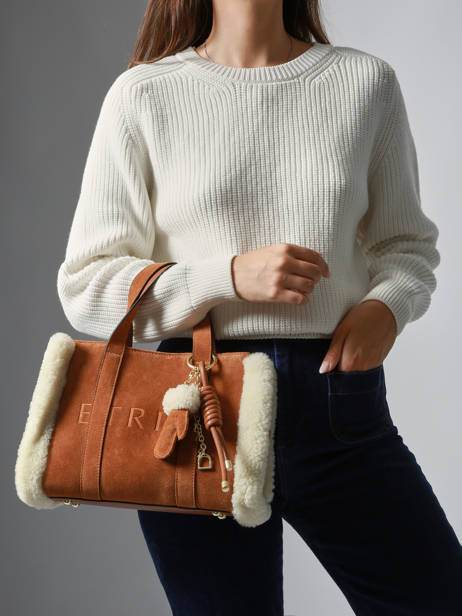 Crossbody Bag Alpin Leather Etrier Brown alpin EALP140S other view 1